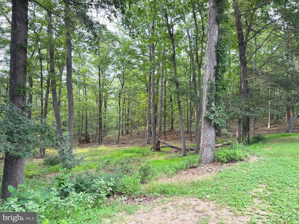 311 Akern Ln, Cross Junction, VA 22625 - view of tree filled area