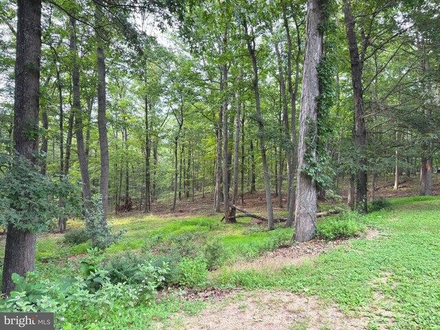 311 Akern Ln, Cross Junction, VA 22625 - view of tree filled area