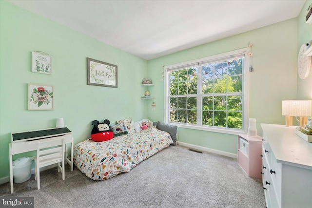 213 Buchanan Ct, Downingtown, PA 19335 - bedroom with carpet floors