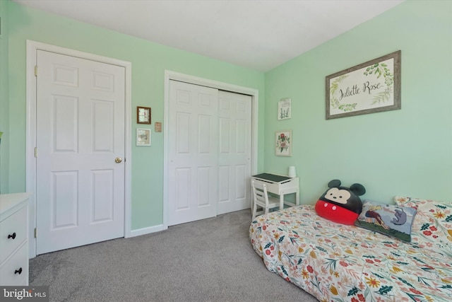 213 Buchanan Ct, Downingtown, PA 19335 - bedroom featuring carpet and a closet