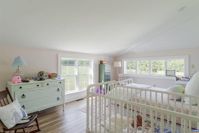 928 Slate Mill Rd Unit B, Stanardsville, VA 22973 - bedroom featuring lofted ceiling, wood finished floors, multiple windows, and a nursery area