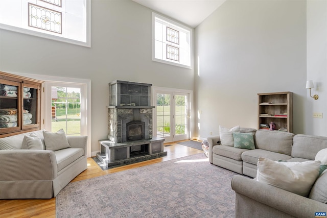 928 Slate Mill Rd Unit B, Stanardsville, VA 22973 - living area featuring high vaulted ceiling and wood finished floors