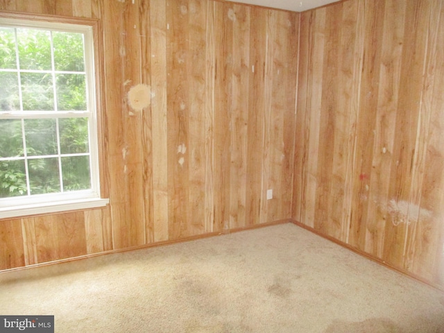 2 Queen Anne Dr, Boyertown, PA 19512 - carpeted empty room with wood walls