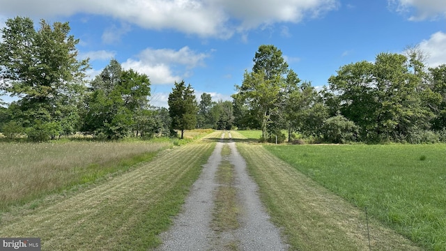 37 Barbertown Point Breeze Rd, Frenchtown, NJ 08825 - view of street