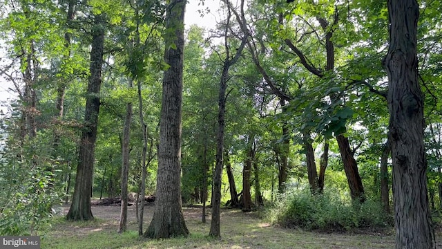 37 Barbertown Point Breeze Rd, Frenchtown, NJ 08825 - view of tree filled area