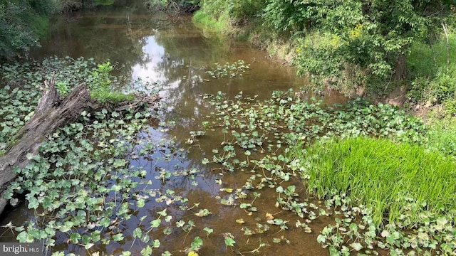 37 Barbertown Point Breeze Rd, Frenchtown, NJ 08825 - view of nature with a large body of water