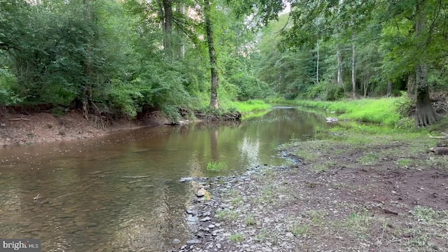 37 Barbertown Point Breeze Rd, Frenchtown, NJ 08825 - water view featuring a heavily wooded area