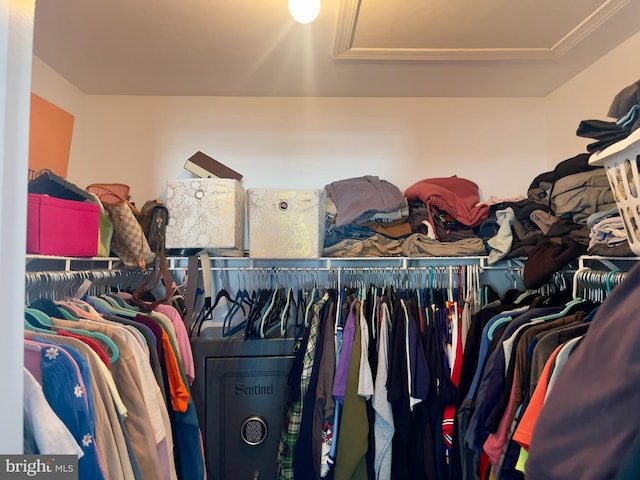 8 Aidone Ln, Smyrna, DE 19977 - view of walk in closet