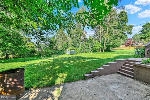 127 W Chestnut Hill Ln, Reisterstown, MD 21136 - view of grassy yard featuring a patio and view of scattered trees