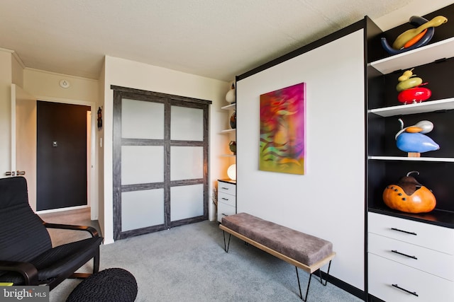 2059 Huntington Ave Unit 1406, Alexandria, VA 22303 - sitting room with light carpet