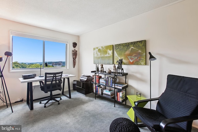 2059 Huntington Ave Unit 1406, Alexandria, VA 22303 - office space with carpet