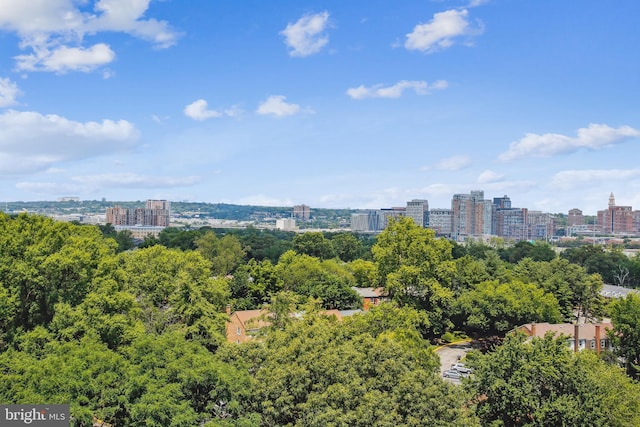 2059 Huntington Ave Unit 1406, Alexandria, VA 22303 - view of urban area