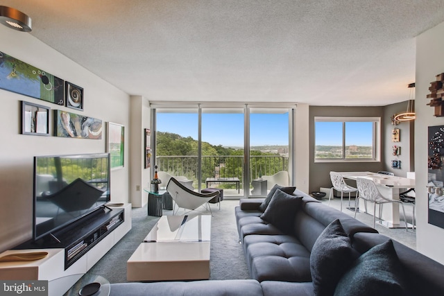 2059 Huntington Ave Unit 1406, Alexandria, VA 22303 - carpeted living area featuring a textured ceiling and floor to ceiling windows