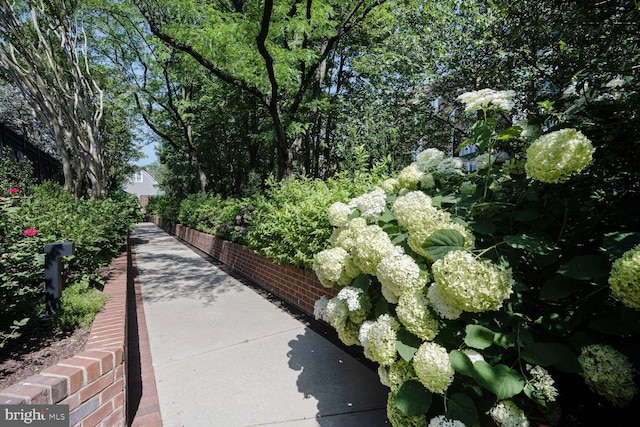 7500 Woodmont Ave Unit S609, Bethesda, MD 20814 - view of property's community