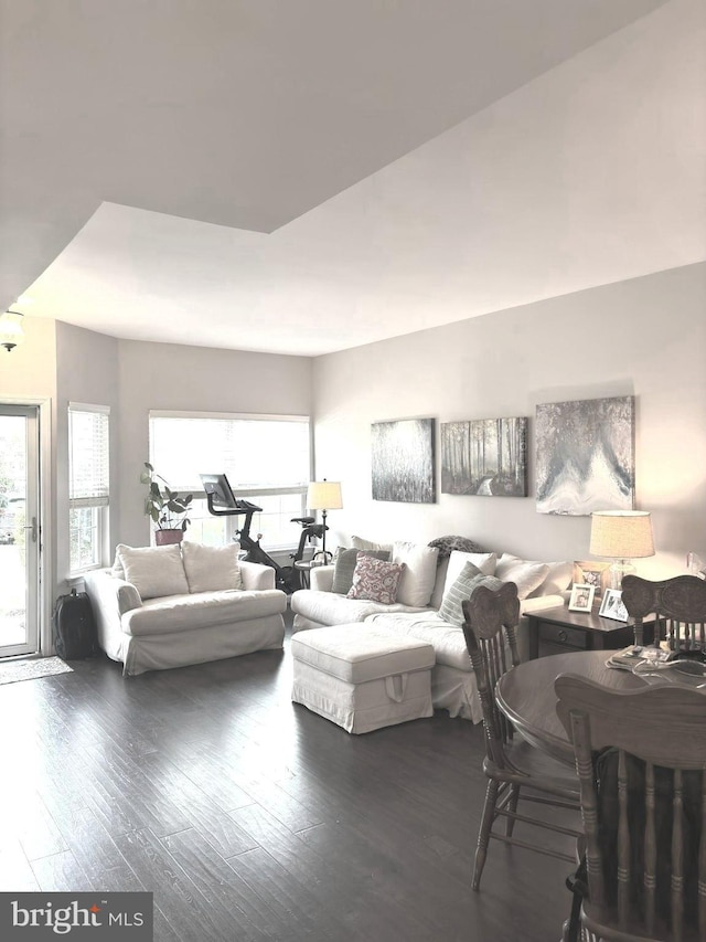 420 Fairview Way, New Hope, PA 18938 - living room featuring wood-type flooring
