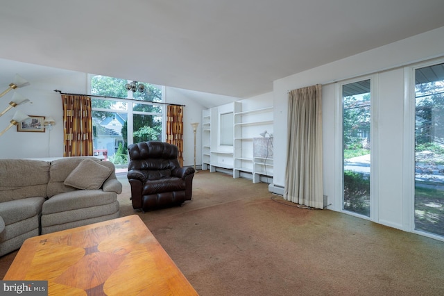 3221 Union Ave, Pennsauken, NJ 08109 - living room with carpet flooring and vaulted ceiling