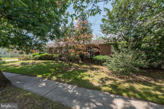 3221 Union Ave, Pennsauken, NJ 08109 - view of property hidden behind natural elements with a front lawn and brick siding