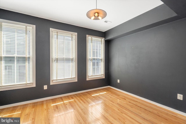 19 Yogurt Ln, Baltimore, MD 21231 - spare room featuring wood finished floors and plenty of natural light