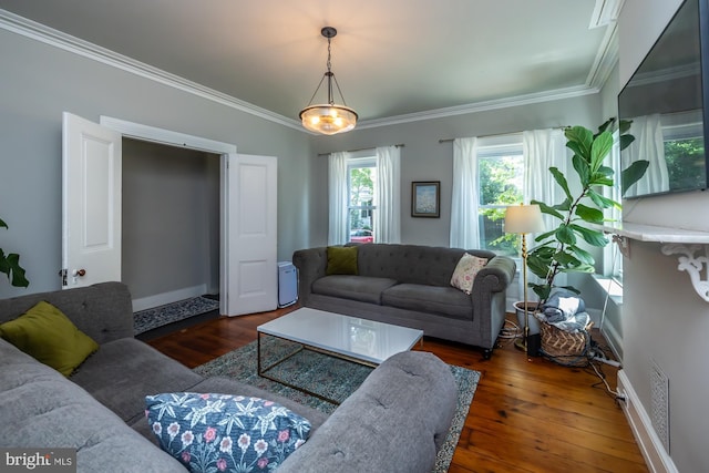 239 W Barnard St, West Chester, PA 19382 - living room with hardwood / wood-style flooring and ornamental molding