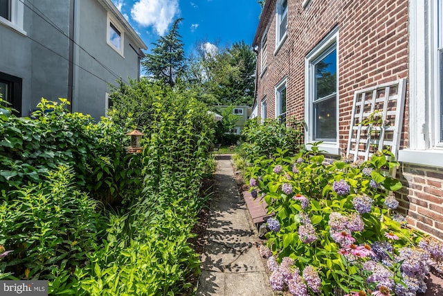 239 W Barnard St, West Chester, PA 19382 - view of yard