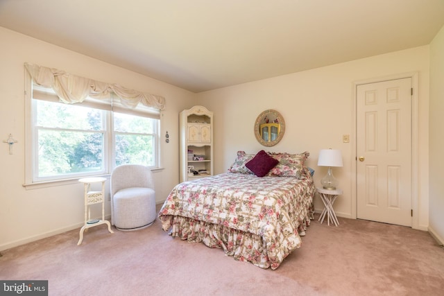 14 Winslow Way, Dresher, PA 19025 - bedroom with carpet