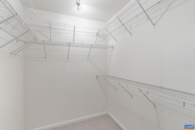 834 Rock Creek Rd, Charlottesville, VA 22903 - spacious closet featuring carpet flooring