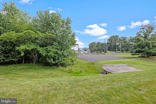 723 Dell Ct, Southampton, PA 18966 - view of green lawn with view of wooded area