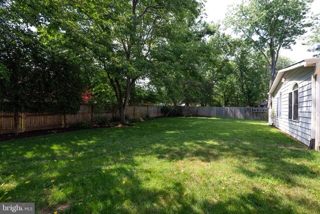 8700 Bluedale St, Alexandria, VA 22308 - view of fenced backyard