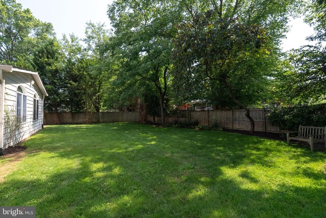 8700 Bluedale St, Alexandria, VA 22308 - view of fenced backyard