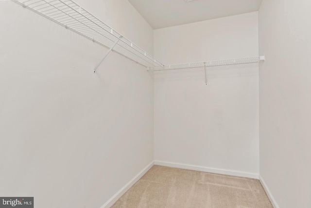 26 Courtyard Dr, Carlisle, PA 17013 - walk in closet featuring light carpet