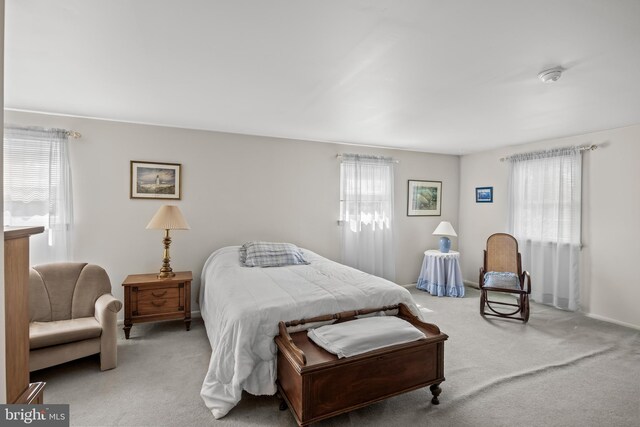 325 Tenby Chase Dr, Delran, NJ 08075 - bedroom featuring light colored carpet and multiple windows
