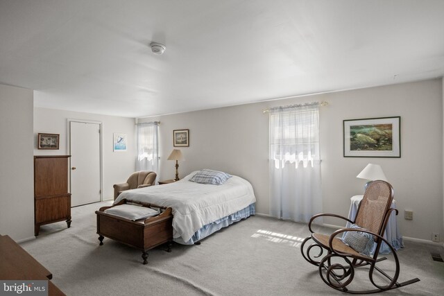 325 Tenby Chase Dr, Delran, NJ 08075 - view of carpeted bedroom