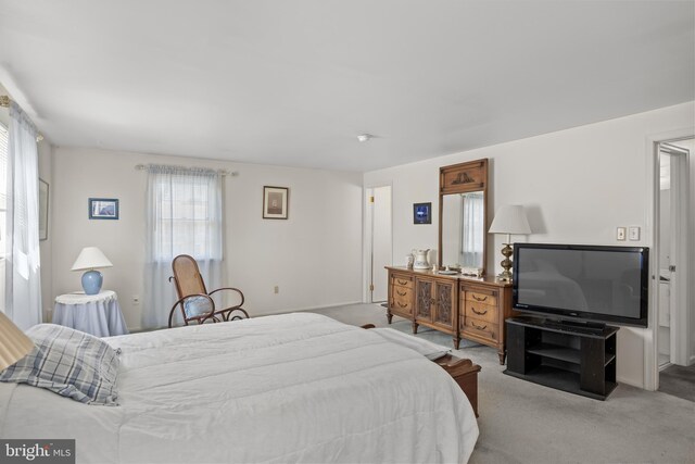 325 Tenby Chase Dr, Delran, NJ 08075 - view of carpeted bedroom