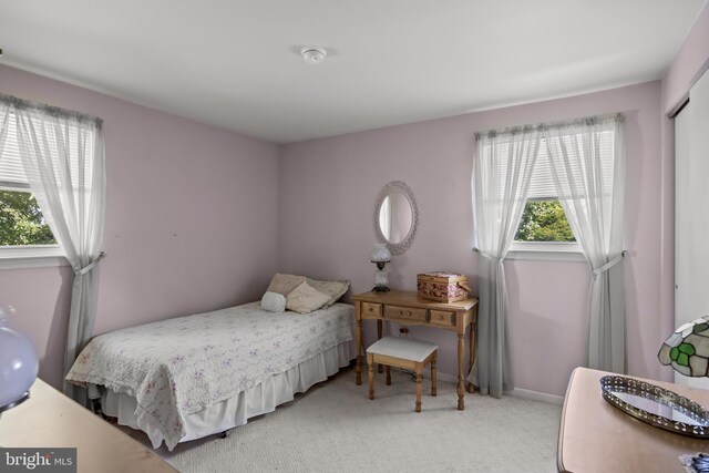 325 Tenby Chase Dr, Delran, NJ 08075 - bedroom featuring light carpet and a closet