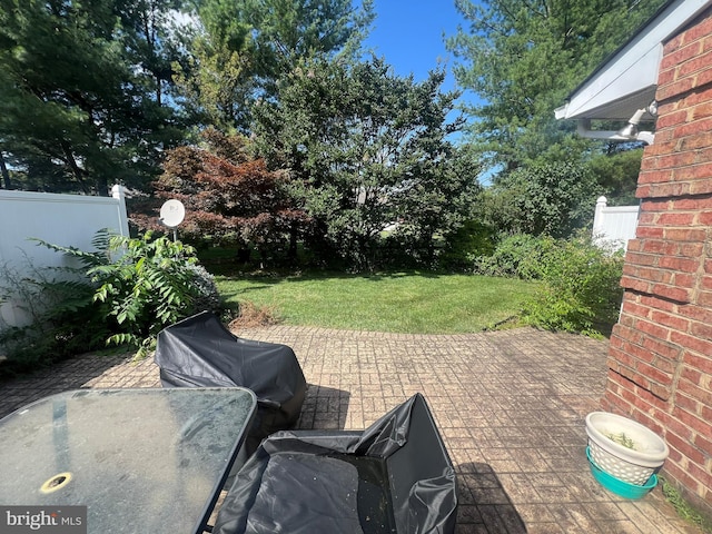 1038 Matthew Ct, Hagerstown, MD 21742 - view of patio / terrace