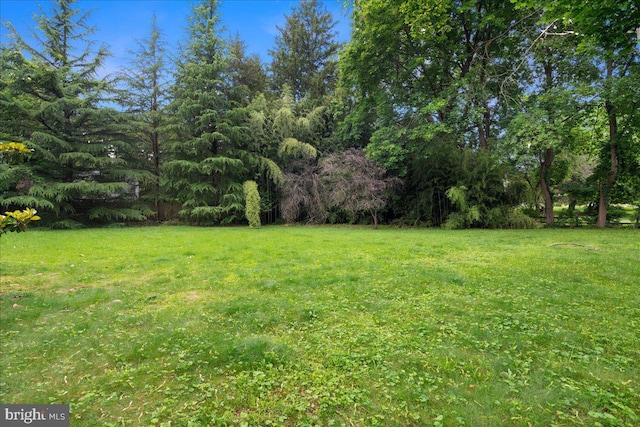 1 High Acres Dr, Ewing, NJ 08628 - view of green lawn