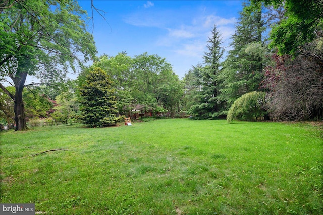 1 High Acres Dr, Ewing, NJ 08628 - view of green lawn