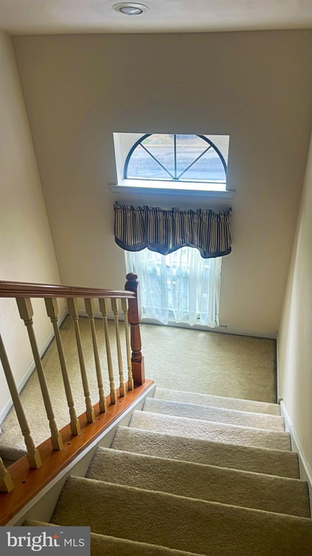 1402 Redwood Ct Unit 57, West Chester, PA 19380 - staircase featuring carpet flooring and baseboards