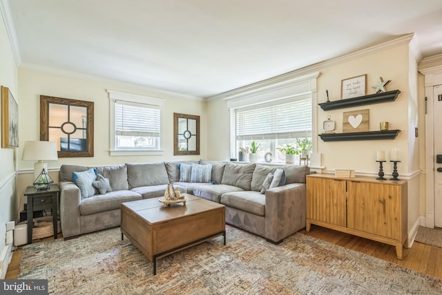 614 Radnor Ave, Haddonfield, NJ 08033 - living room featuring wood finished floors, crown molding, and plenty of natural light