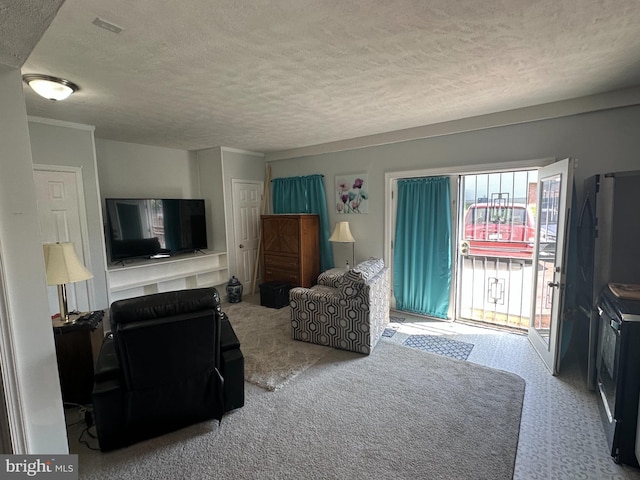 95 Buchanan Ln, Inwood, WV 25428 - living room featuring a textured ceiling
