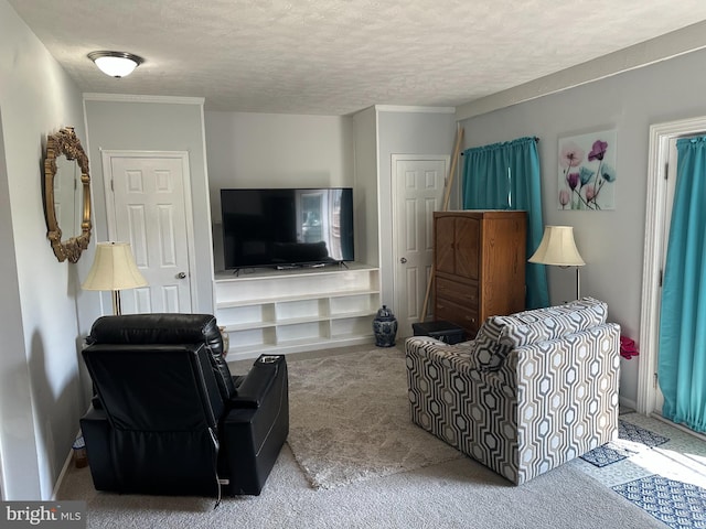 95 Buchanan Ln, Inwood, WV 25428 - carpeted living room with a textured ceiling