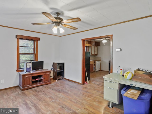 679 Winchester Grade Rd, Berkeley Springs, WV 25411 - office featuring ornamental molding, a ceiling fan, and light wood-style flooring