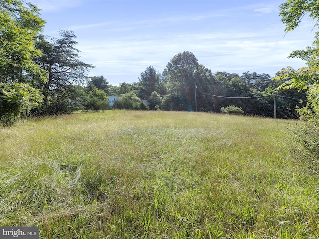 679 Winchester Grade Rd, Berkeley Springs, WV 25411 - view of yard