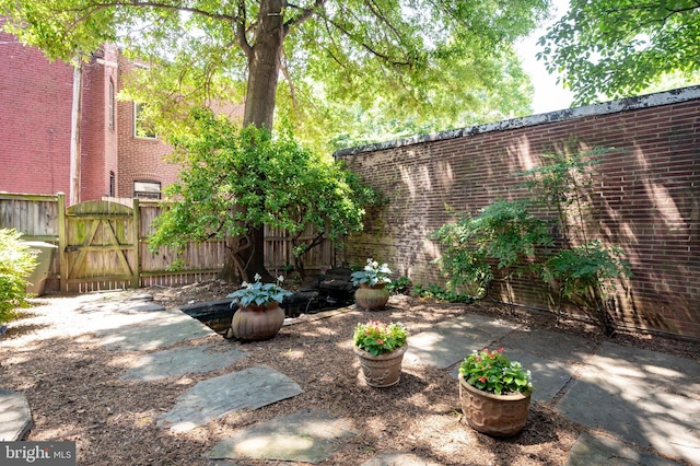 1117 S Carolina Ave SE, Washington, DC 20003 - view of yard with a patio and a gate