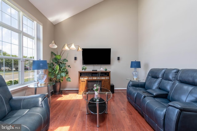 715 Dairy Dr, Middletown, DE 19709 - living area with wood finished floors and high vaulted ceiling