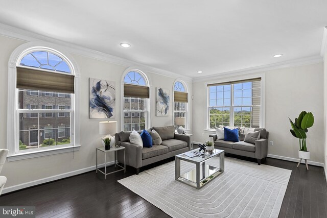 1543 Kinnaird Ter NE, Leesburg, VA 20176 - living area featuring ornamental molding, hardwood / wood-style flooring, and recessed lighting