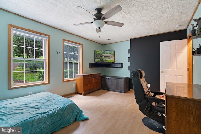 590 Vaught Dr, Front Royal, VA 22630 - bedroom with light wood-type flooring, an office area, a textured ceiling, and a ceiling fan