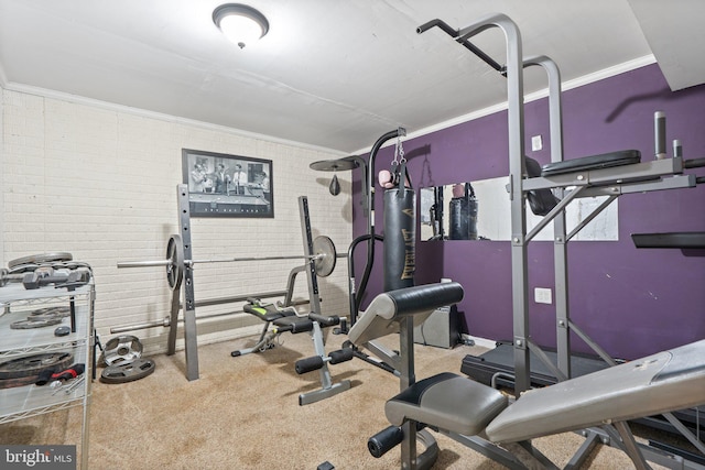 590 Vaught Dr, Front Royal, VA 22630 - workout room featuring ornamental molding and carpet