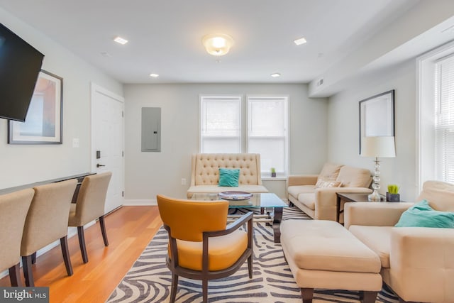 4106 Gault Pl NE Unit 3, Washington, DC 20019 - living room featuring electric panel and light wood-type flooring
