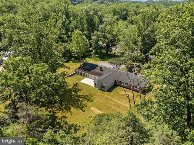 708 E Seminary, Towson, MD 21286 - view of subject property featuring a heavily wooded area